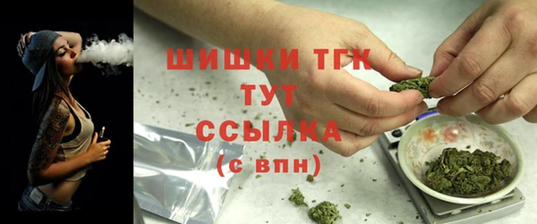 молекула духа Коряжма