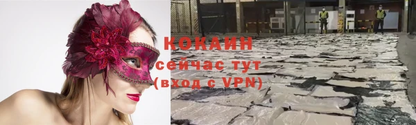 ПСИЛОЦИБИНОВЫЕ ГРИБЫ Козловка