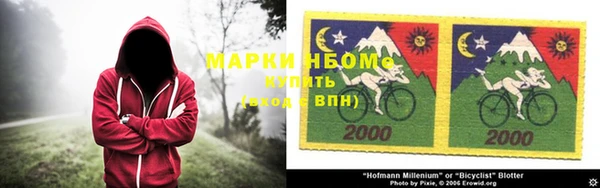 молекула духа Коряжма