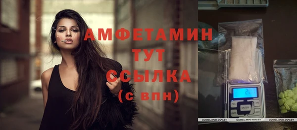 ALPHA PVP Краснослободск